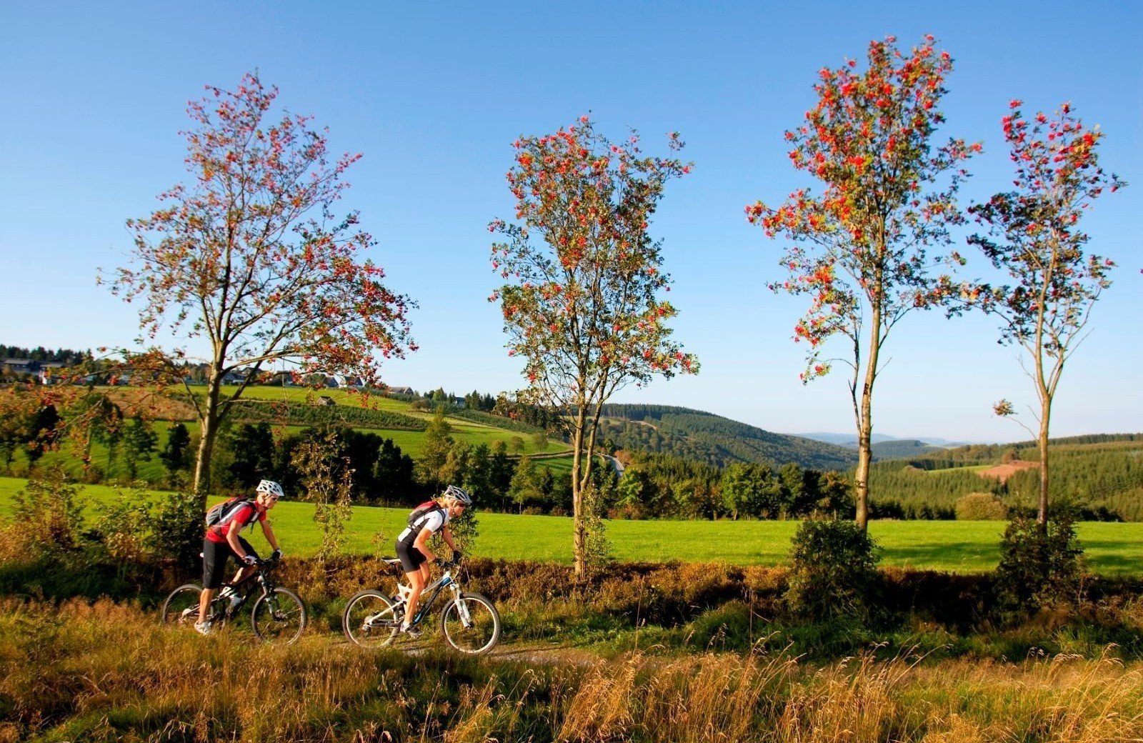 De perfecte uitvalsbasis